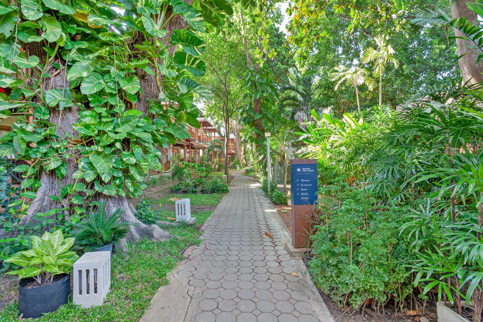 Malibu Koh Samui Resort&Beach Club - SHA Extra Plus Chaweng  Exterior foto